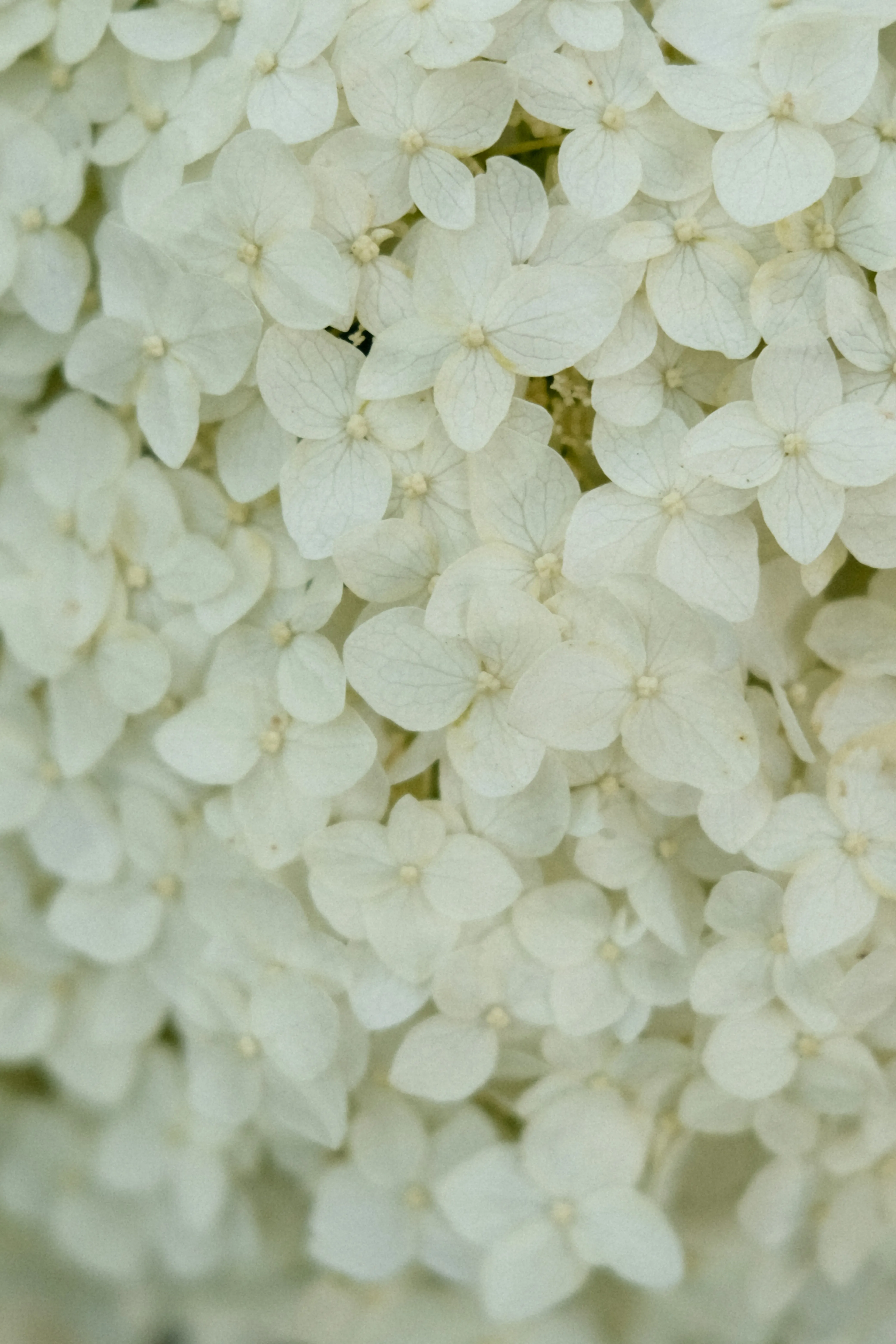 DSAN 5300-02: Statistical Learning